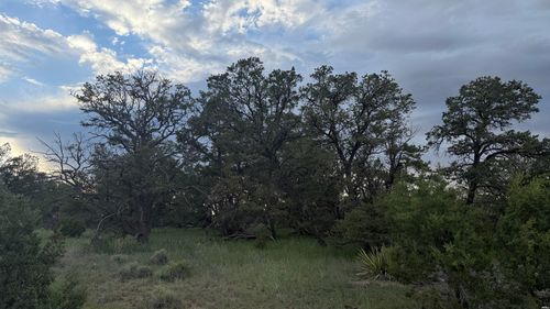 45-62 Dreamcatcher Dr, Fence Lake, NM, 87315-8017 | Card Image