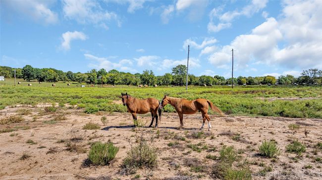 17223 County Road 3660, House other with 1 bedrooms, 1 bathrooms and null parking in Stonewall OK | Image 26