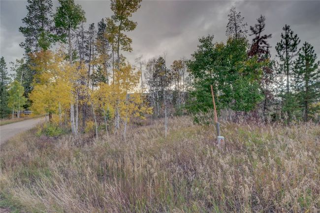 View of nature | Image 19