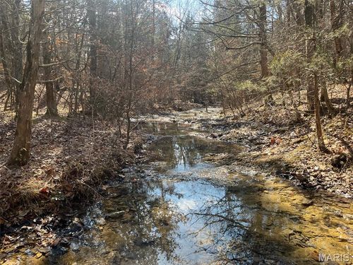 10272 Old Black River Rd, Potosi, MO, 63664 | Card Image