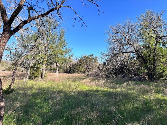 Lot 13 Cr 127, Home with 0 bedrooms, 0 bathrooms and null parking in Carlton TX | Image 11