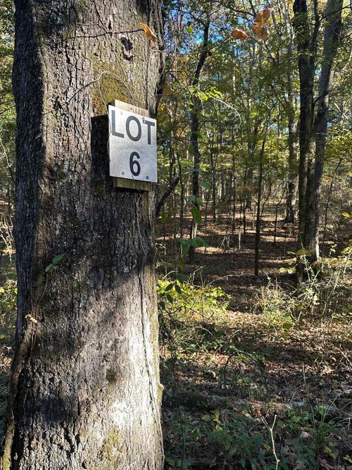226 Cathedral Pines Ln, Mena, AR, 71953-4530 | Card Image