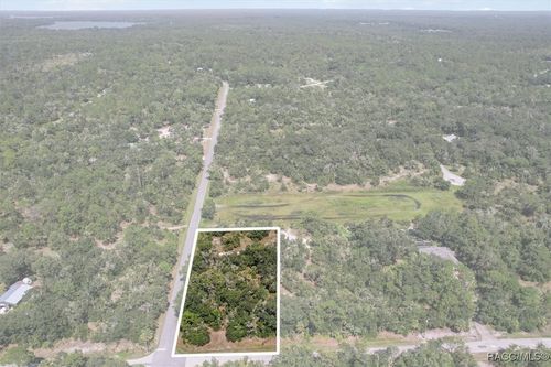 9597 N Alder Ave, CRYSTAL RIVER, FL, 34428-9518 | Card Image