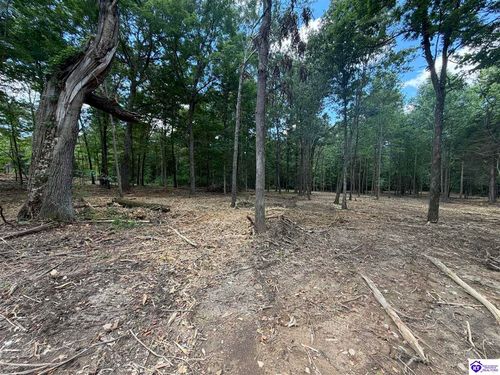 Lot 16 Redhawk, Rineyville, KY, 40162 | Card Image