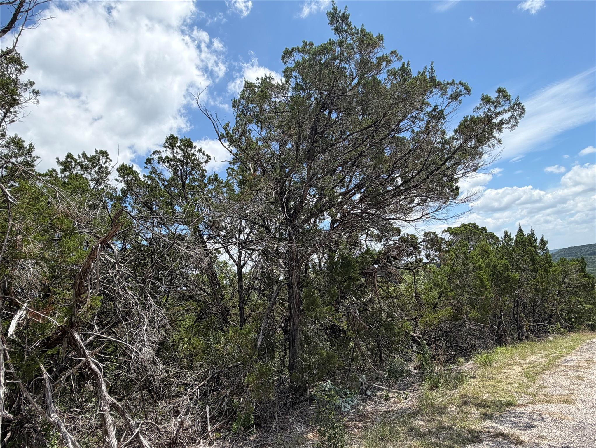Land in Lago Vista 3