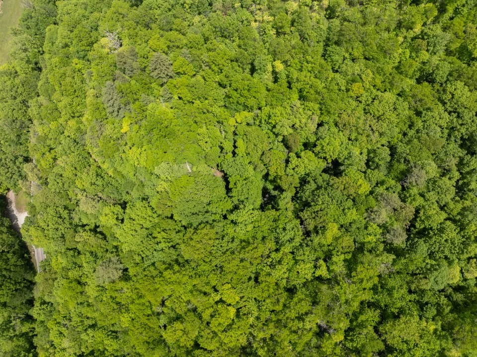 Land in Robbinsville 3