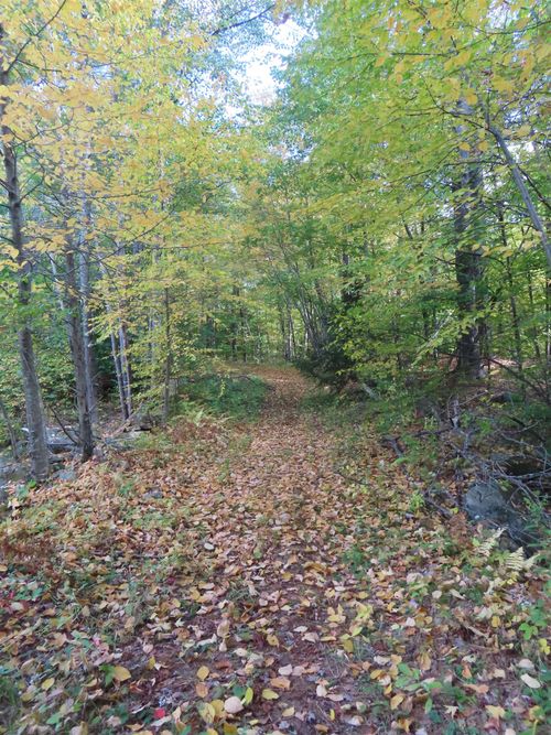 0 Glass Factory Road, Lyndeborough, NH, 03082 | Card Image