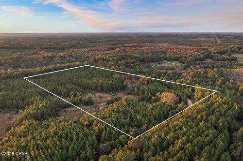 north-20-acres-XXX Fortune Pond Rd, Vernon, FL, 32462 | Card Image