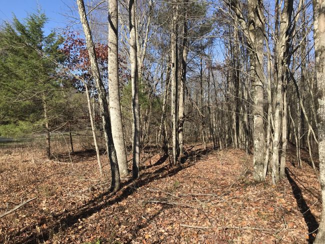 6 Hobbstown Rd, Home with 0 bedrooms, 0 bathrooms and null parking in Dunlap TN | Image 13