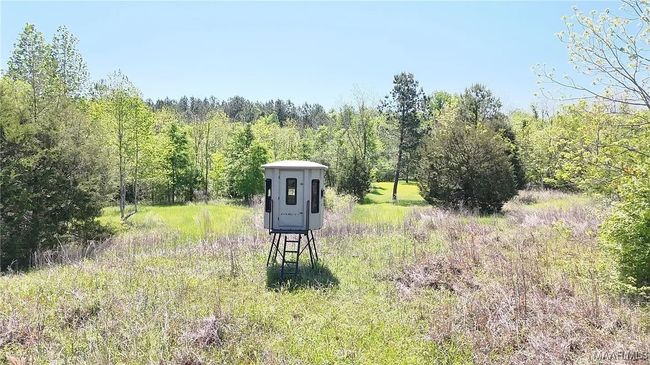344 Dani Ln, Home with 0 bedrooms, 0 bathrooms and null parking in Mathews AL | Image 17
