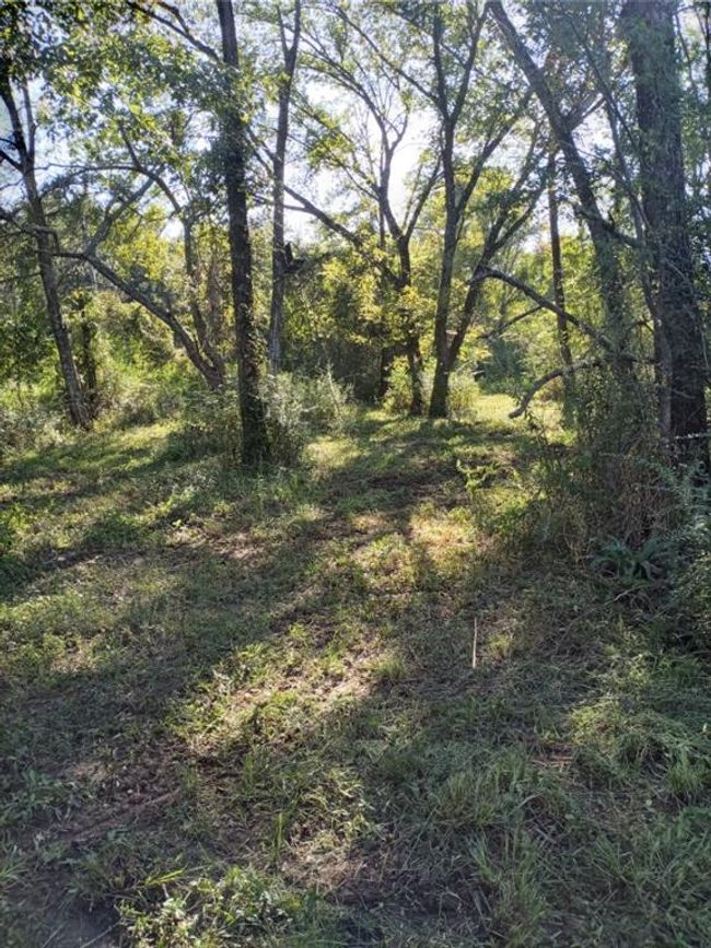 8115 Five Notch Rd, Home with 0 bedrooms, 0 bathrooms and null parking in Marshall TX | Image 7