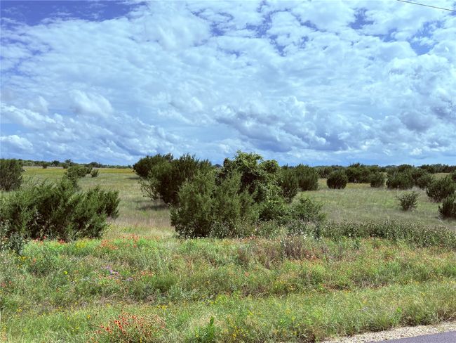 View of nature featuring rural landscape | Image 4