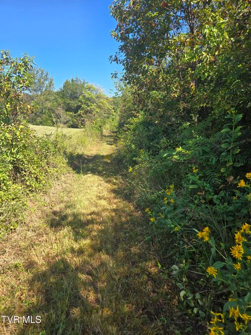 Tbd Poplar Springs Rd, Greeneville, TN, 37743 | Card Image