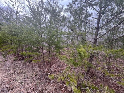 0 Maple Dr, Pikeville, TN, 37367 | Card Image