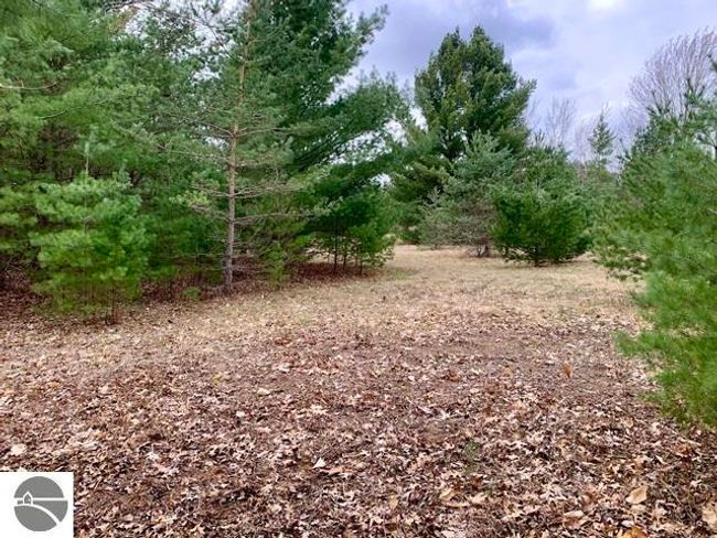 1871 Pine Tree, House other with 2 bedrooms, 1 bathrooms and null parking in Grawn MI | Image 19