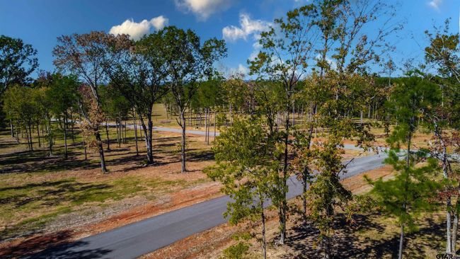 15538 Aniston Ln, Home with 0 bedrooms, 0 bathrooms and null parking in Flint TX | Image 21