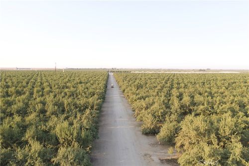 0 Palm Ave, Wasco, CA, 93280 | Card Image