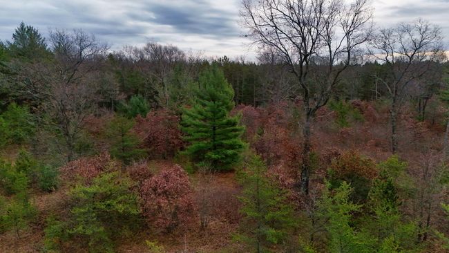 3726 N Custer Rd, Home with 0 bedrooms, 0 bathrooms and null parking in Manistee MI | Image 18