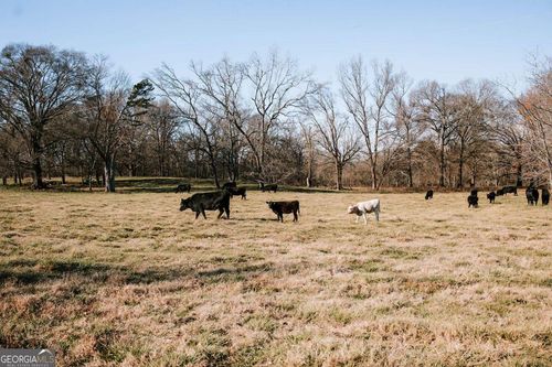 0 Crawfordville Rd, Stephens, GA, 30667 | Card Image