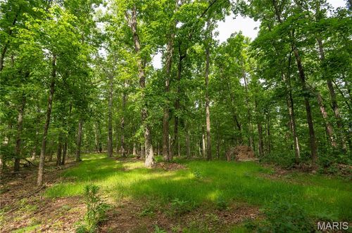 TBD Wayne, Piedmont, MO, 63957 | Card Image