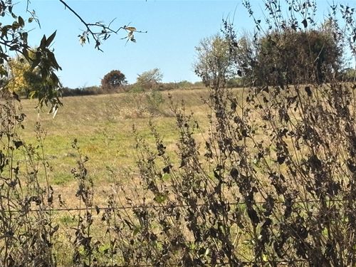 13.8 Acres / Tract 5 Winn Road, Collinsville, TX, 76268 | Card Image
