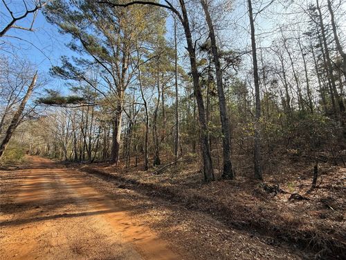 TBD Cr 2733, Marietta, TX, 75566 | Card Image