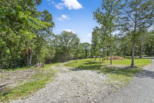 5-web-or-mls-DSC06601 | Image 9