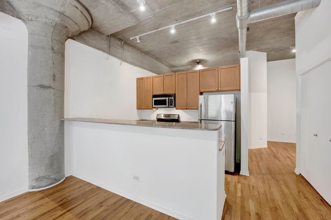 UNIT-112 - 1070 W 15 Th St, Condo with 2 bedrooms, 2 bathrooms and 1 parking in Chicago IL | Image 8