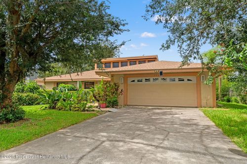 23302 Lucerne Pl, Land O' Lakes, FL, 34639-4110 | Card Image
