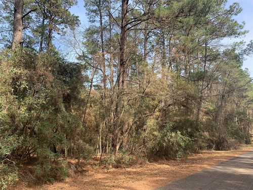 19 Pavlock Road, Navasota, TX, 77868 | Card Image