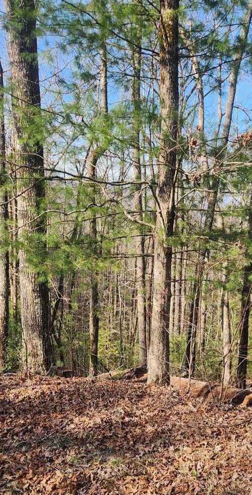 388 Country Hill Rd, Hiawassee, GA, 30546-2980 | Card Image