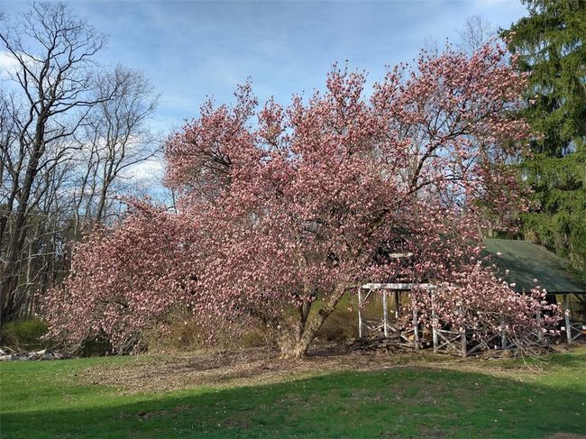 143 Gracie Ln, Home with 0 bedrooms, 0 bathrooms and null parking in Mars PA | Image 49