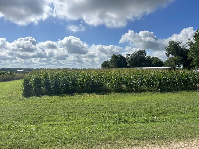 View of yard with a rural view and agricultural area | Image 12