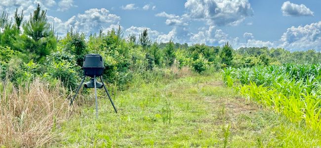 View of nature | Image 17