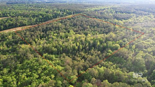 0 Pleasant Hill Rd, Century, FL, 32535 | Card Image