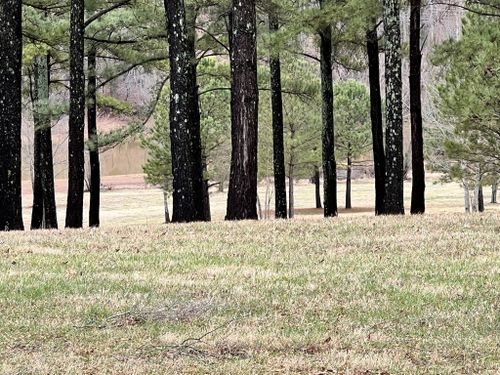 0 Slalom Cir, Winchester, TN, 37398 | Card Image