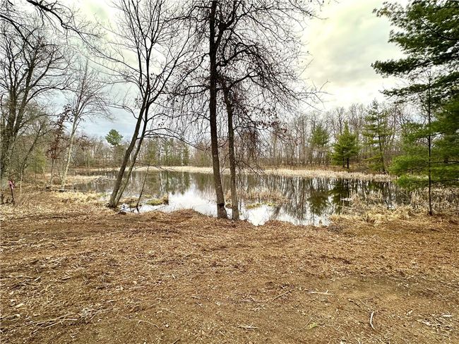 16 295th Street, Home with 0 bedrooms, 0 bathrooms and null parking in Holcombe WI | Image 43