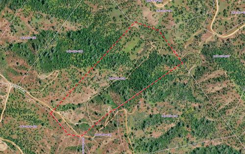 215 Tolowa Rd, Igo, CA, 96047 | Card Image