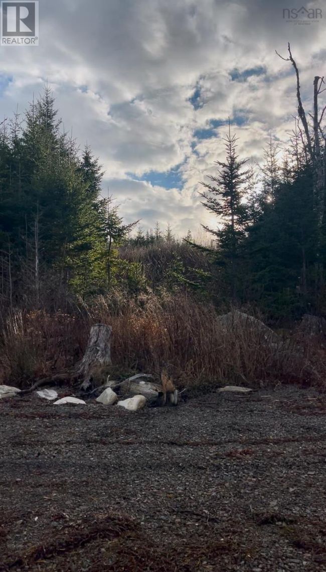 2 W Liscomb Point Rd, Home with 0 bedrooms, 0 bathrooms and null parking in Liscomb NS | Image 16