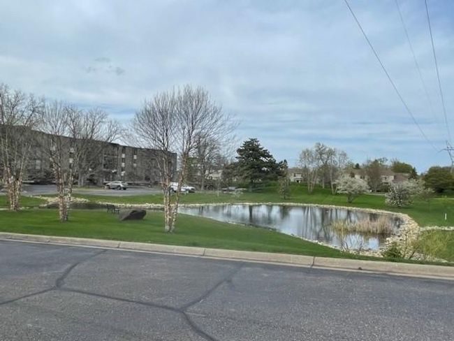 enjoy the calm and occasional wildlife of the front yard pond. | Image 33