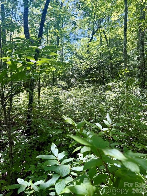 32-TBD Indian Lake Road, Lake Toxaway, NC, 28747 | Card Image