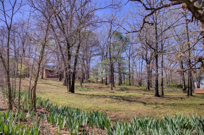 Blue and Yellow Iris's surround property with beds throughout. | Image 21