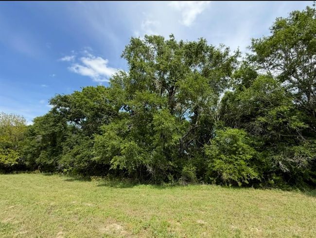 29470 Skymac Ranch Rd, Home with 0 bedrooms, 0 bathrooms and null parking in Hempstead TX | Image 6