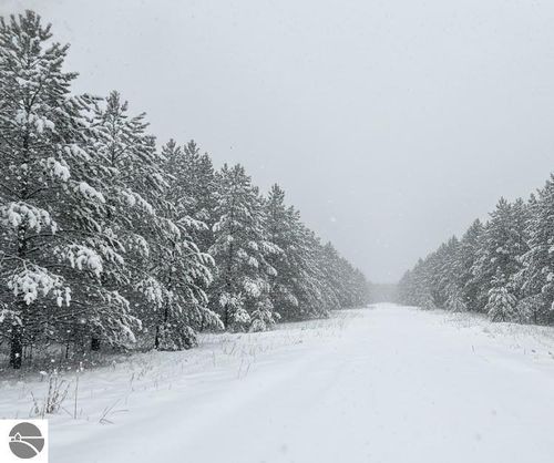 Parcel F-2 W Wexford Ave, Buckley, MI, 49620 | Card Image