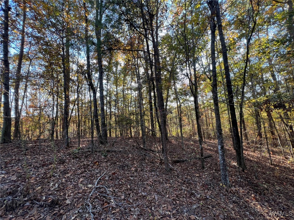 Land in McCalla