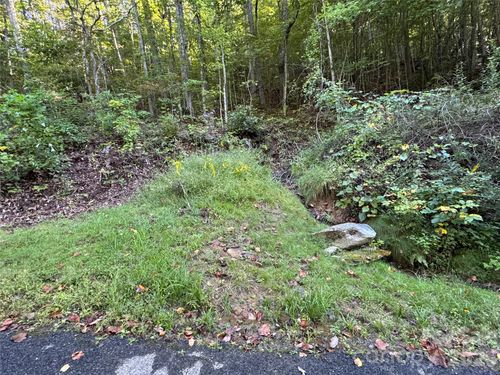 TBD Red Oak Forest Rd, Fairview, NC, 28730 | Card Image