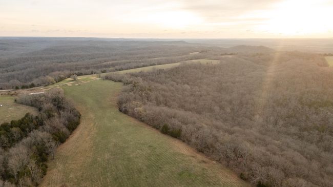 175 drone-8 | Image 18
