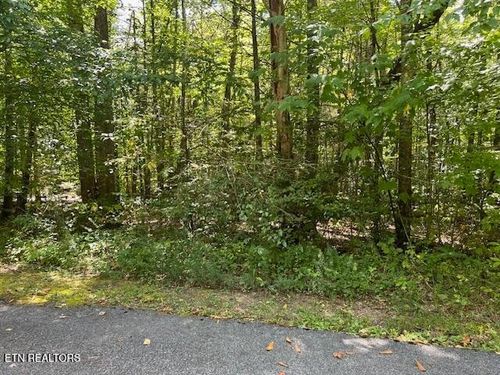 0 Ardell Way, Cosby, TN, 37722 | Card Image