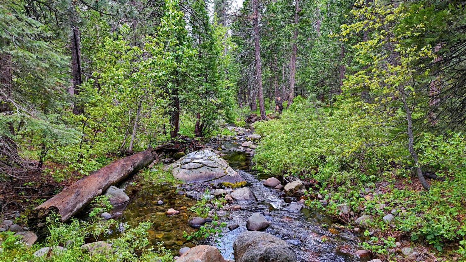 Land in Emigrant Gap 5