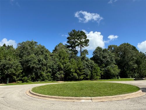 13032 Royal Oak Ct, Montgomery, TX, 77316-1606 | Card Image